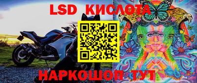 дживик Новозыбков