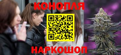 дживик Новозыбков