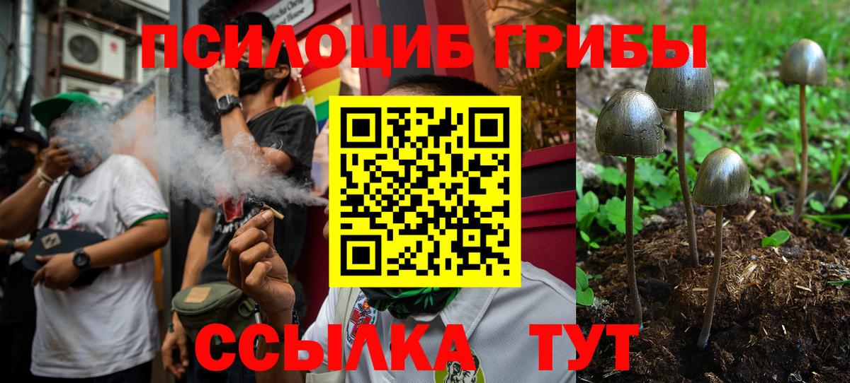 Галлюциногенные грибы Magic Shrooms Химки