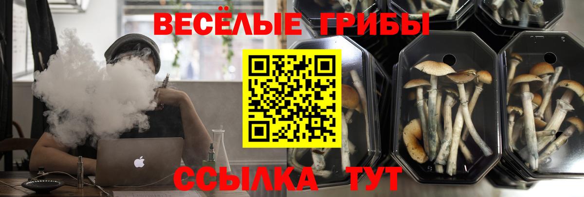 Химки  Псилоцибиновые грибы мицелий  Вход с VPN 